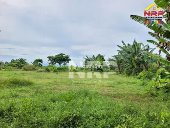 Dijual Tanah Murah di Singotrunan - Banyuwangi