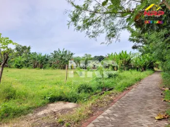 Dijual Tanah Murah di Singotrunan - Banyuwangi