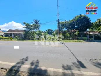Dijual Tanah Strategis 1.120 m² Tepi Jalan Provinsi Wongsorejo Banyuwangi