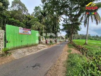 Dijual Villa dan Kebun di Jelun - Banyuwangi