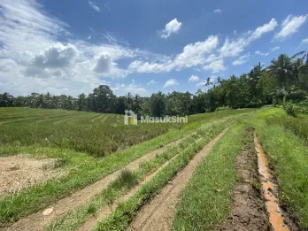 Jual Tanah View Sawah dan Hutan di Wanagiri Tabanan