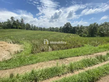 Jual Tanah View Sawah dan Hutan di Wanagiri Tabanan