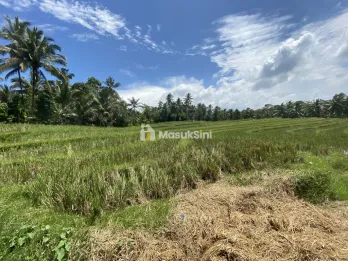 Jual Tanah View Sawah dan Hutan di Wanagiri Tabanan