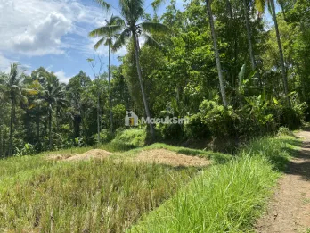 Jual Tanah View Sawah dan Hutan di Wanagiri Tabanan