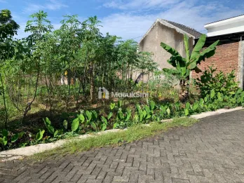 Tanah 147m2 di Kodam Mangli dekat UIN Jember