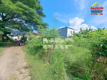 Tanah 513 m² Kebalenan Banyuwangi – Lokasi Premium Siap Bangun SHM