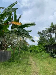 Tanah belakang SMAN 4 Jember dekat Roxy mall