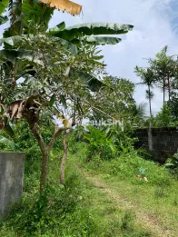 Tanah belakang SMAN 4 Jember dekat Roxy mall