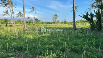 Tanah LT 2.100m2 di Bangsring Banyuwangi