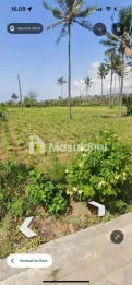 Tanah LT 2.100m2 di Bangsring Banyuwangi