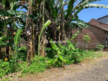 Tanah Pekarangan belakang SMP 7 Jember