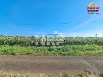 Tanah Sawah Dijual di Wongsorejo Banyuwangi Luas 23.489 m² SHM Akses Aspal