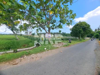 Tanah Sawah Luas 6.670 m&sup2; di Sobo Banyuwangi Tepi Jalan Utama