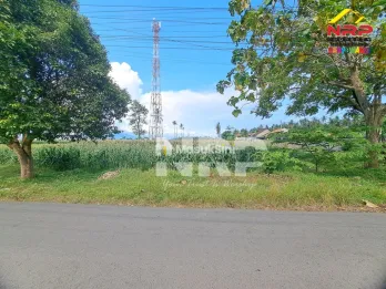 Tanah Sawah Luas 6.670 m&sup2; di Sobo Banyuwangi Tepi Jalan Utama