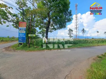 Tanah Sawah Luas 6.670 m&sup2; di Sobo Banyuwangi Tepi Jalan Utama