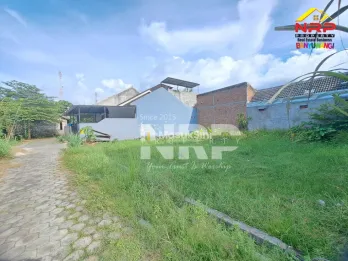 Tanah Strategis Ketapang Banyuwangi Dekat Pelabuhan & Kawasan Industri
