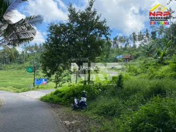 Tanah View Terasering Cantik di Paspan Glagah Banyuwangi – 12.000 m²