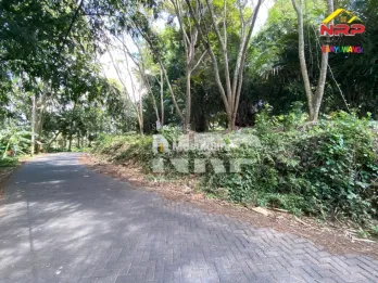Tanah View Terasering Cantik di Paspan Glagah Banyuwangi – 12.000 m²
