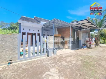 Dijual Rumah Second 300 jtan di Tamanbaru - Banyuwangi