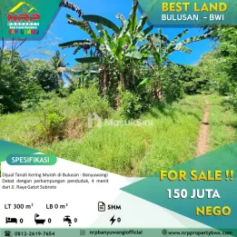 Dijual Tanah 100 jtan - Bulusan Banyuwangi