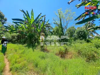 Dijual Tanah 100 jtan - Bulusan Banyuwangi
