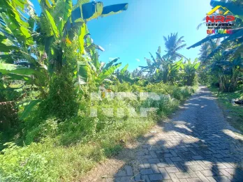 Dijual Tanah Dekat Pantai Blimbingsari - Banyuwangi