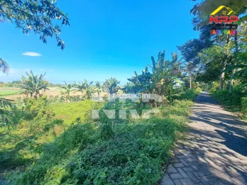Dijual Tanah Dekat Pantai Blimbingsari - Banyuwangi