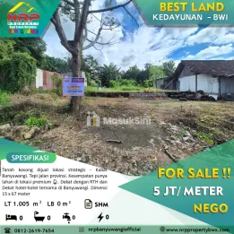 Dijual Tanah Dekat RTH kabat kedayunan - Banyuwangi