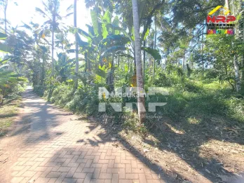 Dijual Tanah di jalan utama Ijen - Paspan Banyuwangi