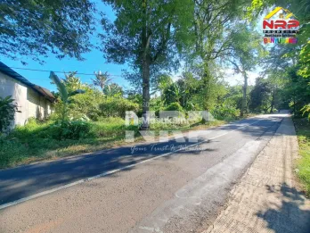Dijual Tanah di jalan utama Ijen - Paspan Banyuwangi