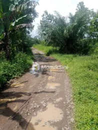 DIJUAL TANAH KEBUN