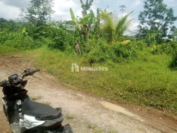 DIJUAL TANAH KEBUN