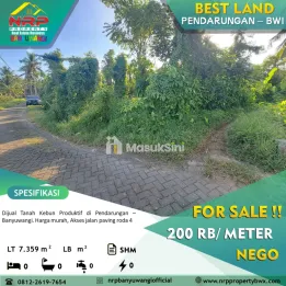 Dijual Tanah kebun produktif di pendarungan - Banyuwangi