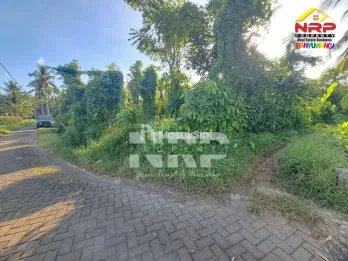 Dijual Tanah kebun produktif di pendarungan - Banyuwangi