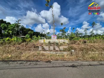 Dijual Tanah Luas di Dadapan - Banyuwangi