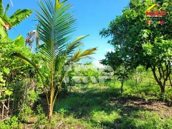 Dijual Tanah Murah 100 jtan di Pondoknongko - Banyuwangi