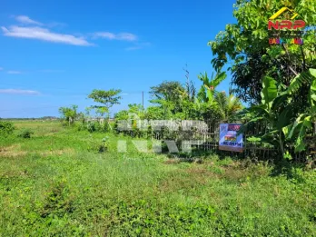Dijual Tanah Murah 100 jtan di Pondoknongko - Banyuwangi