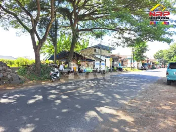 Dijual Tanah Tepi Jalan di Srono Muncar - Banyuwangi