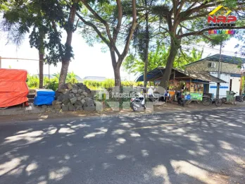 Dijual Tanah Tepi Jalan di Srono Muncar - Banyuwangi