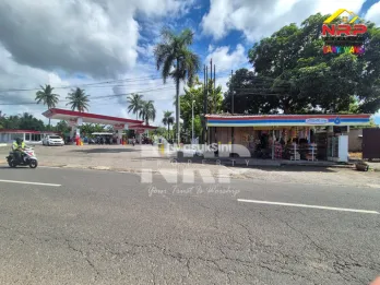 Dijual Tanah Tepi Jalan Utama - Kedayunan Banyuwangi