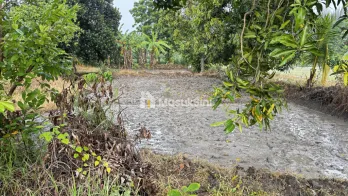 DIJUAL/DISEWAKAN GUDANG PENGGILINGAN PADI, SELEP