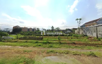 Kebun Jeruk Dijual Jl Tirto Aji Merjosari Kota Malang
