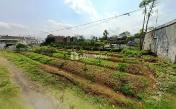 Kebun Jeruk Dijual Jl Tirto Aji Merjosari Kota Malang