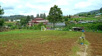PECEREN BERASTAGI TANAH VILLA SHM DI JUAL OBIZ643O4I89