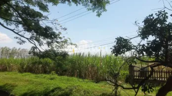 TANAH 1,7 HEKTARE 0 JL RAYA MAYJEND SUNGKONO DEKAT GOR KEN AROK MALANG