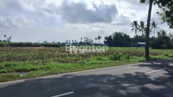 TANAH 4,98 HEKTARE DI 0 JALAN RAYA PAKISAJI MALANG