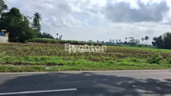 TANAH 4,98 HEKTARE DI 0 JALAN RAYA PAKISAJI MALANG
