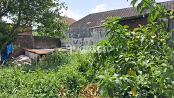 TANAH MURAH DI SULFAT - BUNUL MALANG