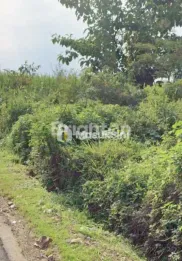 TANAH MURAH SAMPING THURSINA BOARDING SCHOOL DAU MALANG