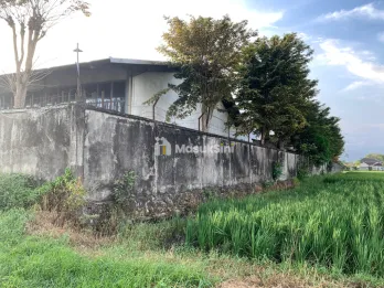Tanah Pinggir Jalan Semeru Desa Klompangan Ajung Jember